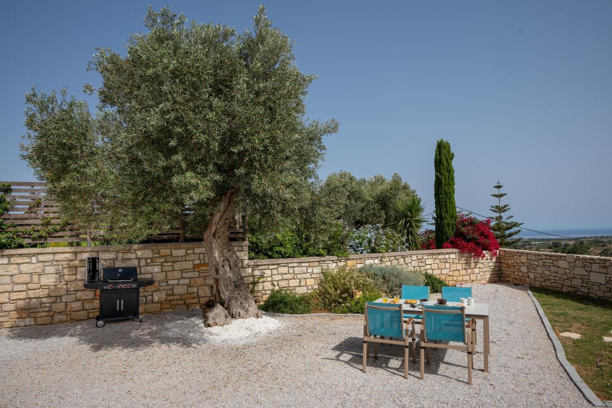 Villa Vasiliki Private Pool Erfoi Extérieur photo