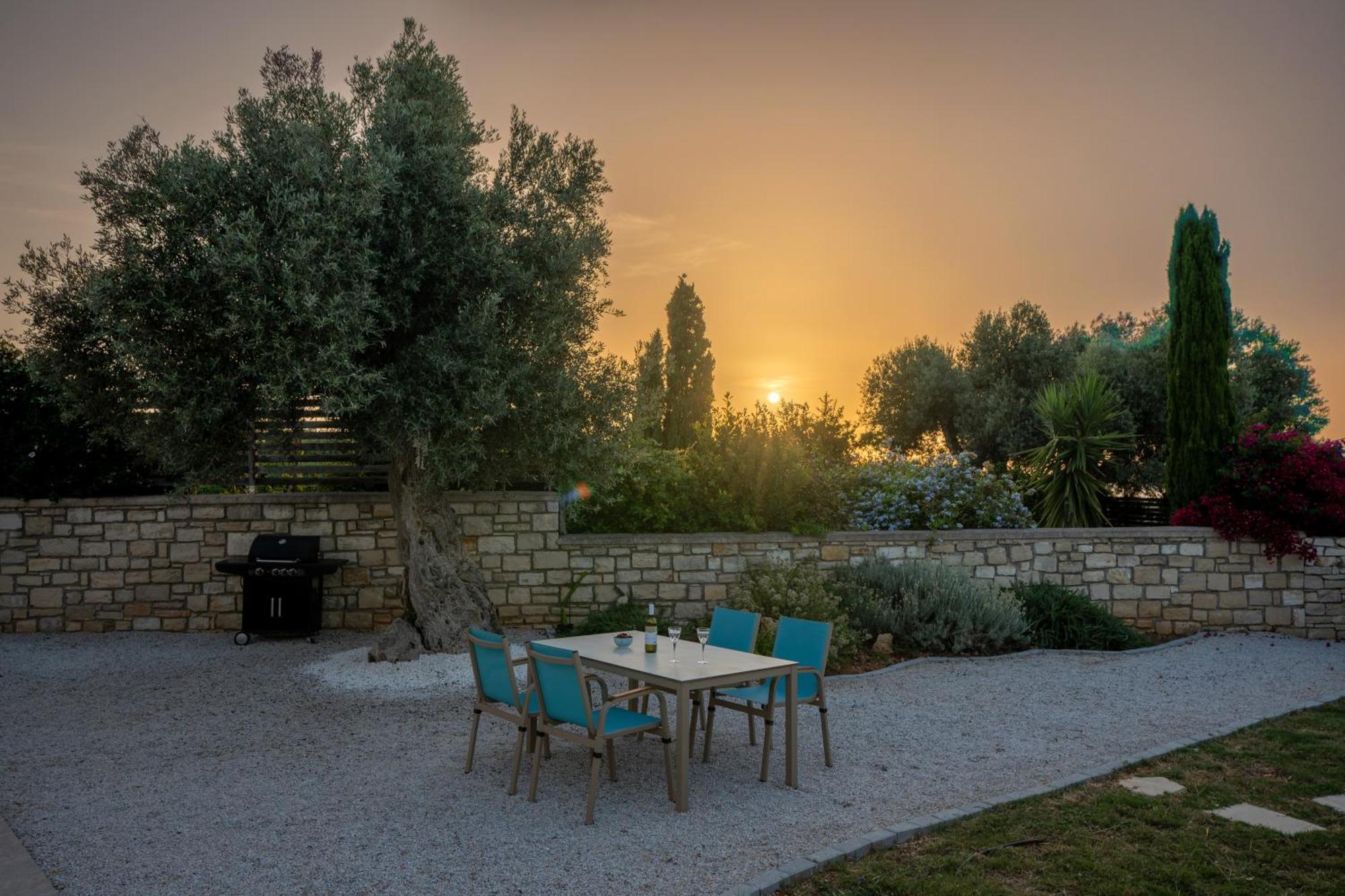 Villa Vasiliki Private Pool Erfoi Extérieur photo